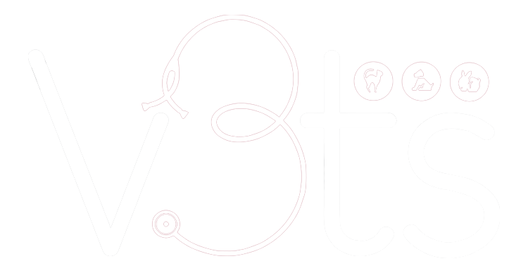 V3ts Hospital