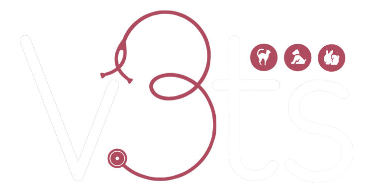 V3ts Hospital